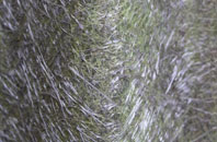 Hutton Wandesley fibreglass roof work